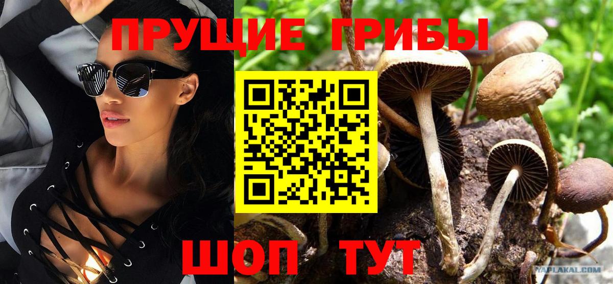 Галлюциногенные грибы мухоморы Кирово-Чепецк