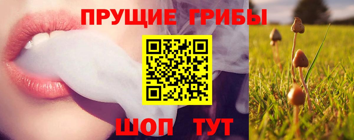 Галлюциногенные грибы Cubensis  Псилоцибиновые грибы прущие грибы  Кирово-Чепецк  Вход с VPN 